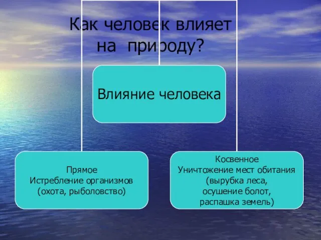 Как человек влияет на природу?