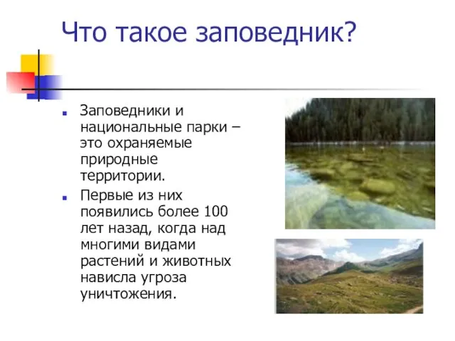 Что такое заповедник? Заповедники и национальные парки – это охраняемые природные территории.