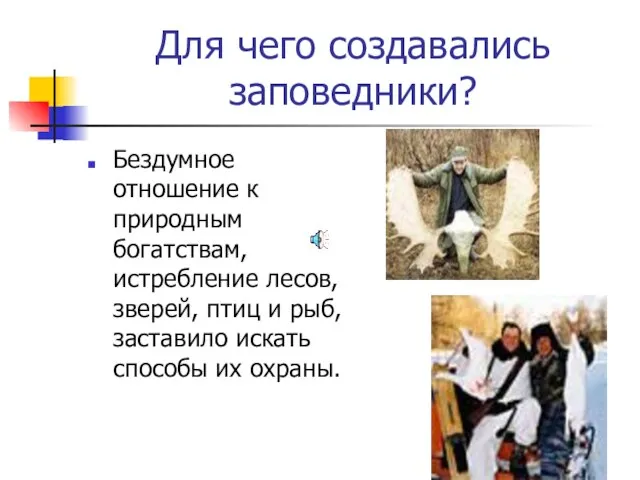 Для чего создавались заповедники? Бездумное отношение к природным богатствам, истребление лесов, зверей,