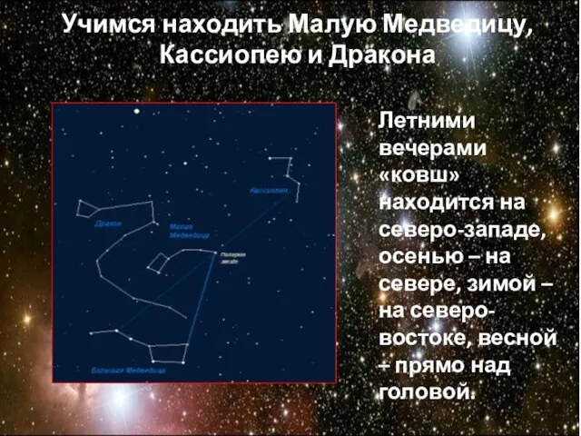 Учимся находить Малую Медведицу, Кассиопею и Дракона Летними вечерами «ковш» находится на