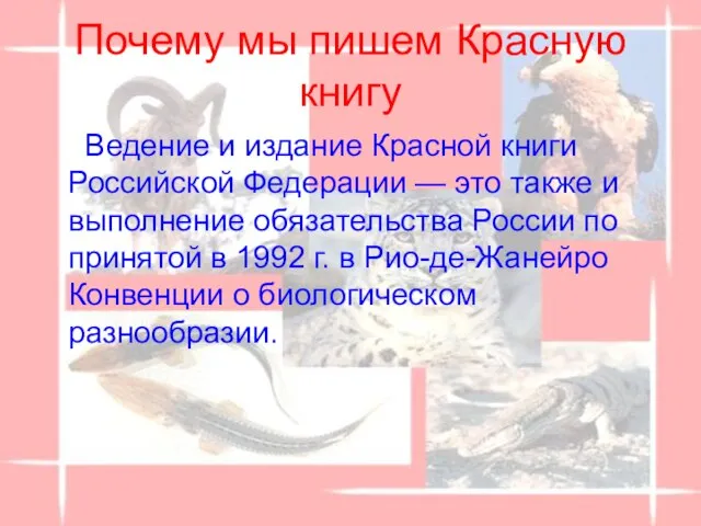 Почему мы пишем Красную книгу Ведение и издание Красной книги Российской Федерации