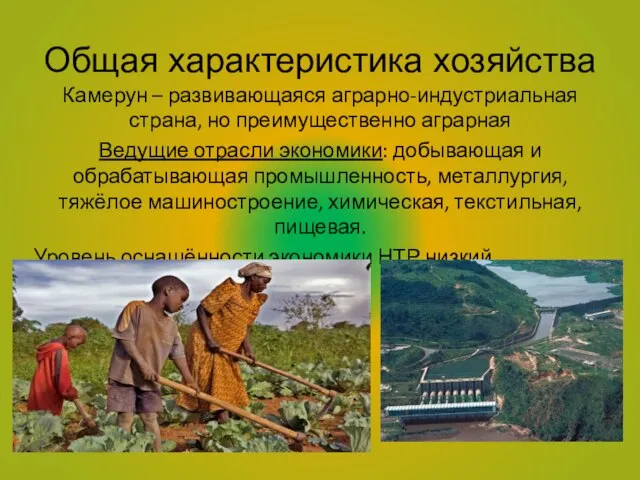 Общая характеристика хозяйства Камерун – развивающаяся аграрно-индустриальная страна, но преимущественно аграрная Ведущие