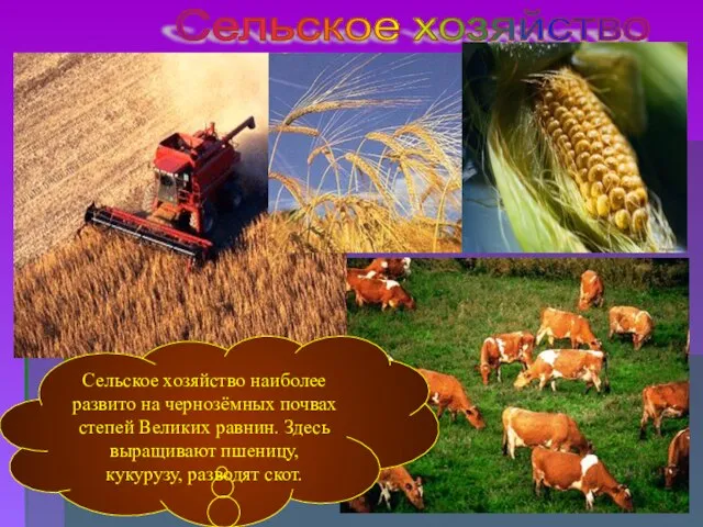 Сельское хозяйство Сельское хозяйство наиболее развито на чернозёмных почвах степей Великих равнин.