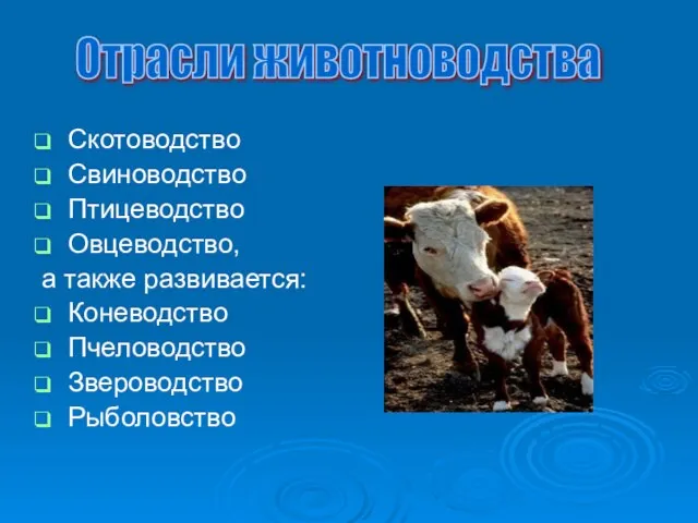 Скотоводство Свиноводство Птицеводство Овцеводство, а также развивается: Коневодство Пчеловодство Звероводство Рыболовство Отрасли животноводства