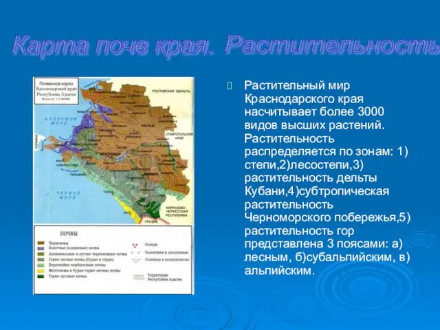 Растительный мир Краснодарского края насчитывает более 3000 видов высших растений. Растительность распределяется