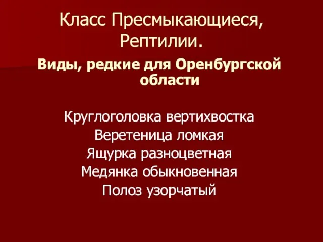 Класс Пресмыкающиеся, Рептилии. Виды, редкие для Оренбургской области Круглоголовка вертихвостка Веретеница ломкая