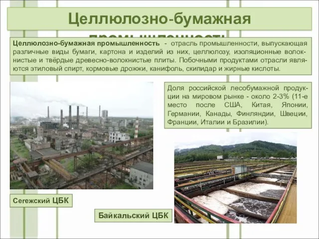 Целлюлозно-бумажная промышленность Доля российской лесобумажной продук-ции на мировом рынке - около 2-3%