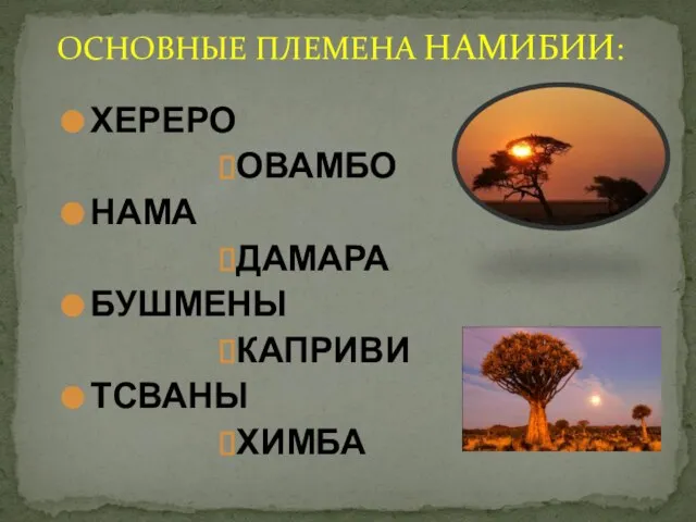 ОСНОВНЫЕ ПЛЕМЕНА НАМИБИИ: ХЕРЕРО ОВАМБО НАМА ДАМАРА БУШМЕНЫ КАПРИВИ ТСВАНЫ ХИМБА