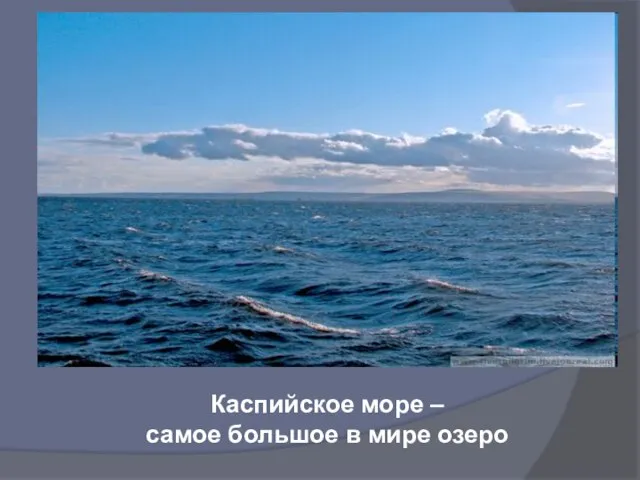 Каспийское море – самое большое в мире озеро