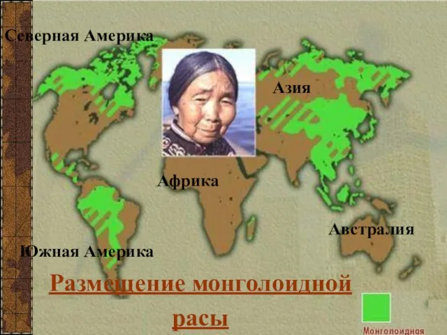 Размещение монголоидной расы Северная Америка Южная Америка Азия Африка Австралия