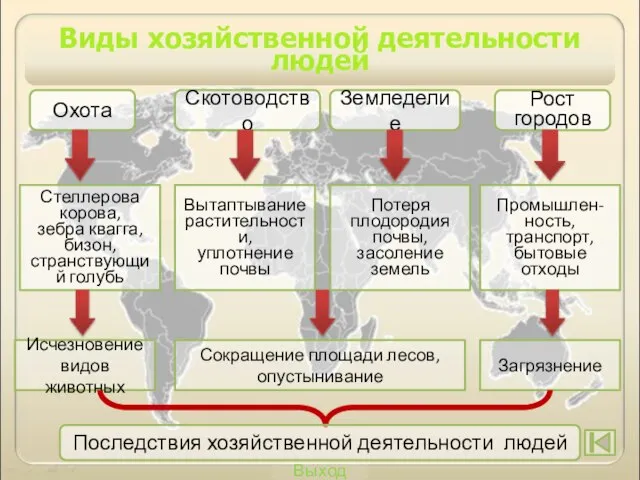 Выход Виды хозяйственной деятельности людей Охота Скотоводство Земледелие Рост городов Стеллерова корова,