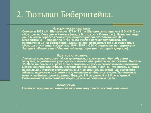 * 2. Тюльпан Биберштейна. Историческая справка. Описан в 1829 г. И. Шультесом