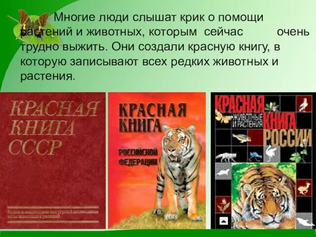 Многие люди слышат крик о помощи растений и животных, которым сейчас очень