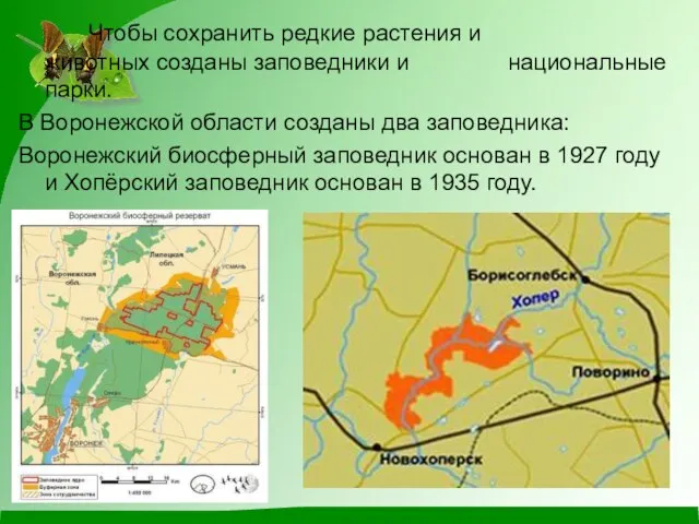 Чтобы сохранить редкие растения и животных созданы заповедники и национальные парки. В