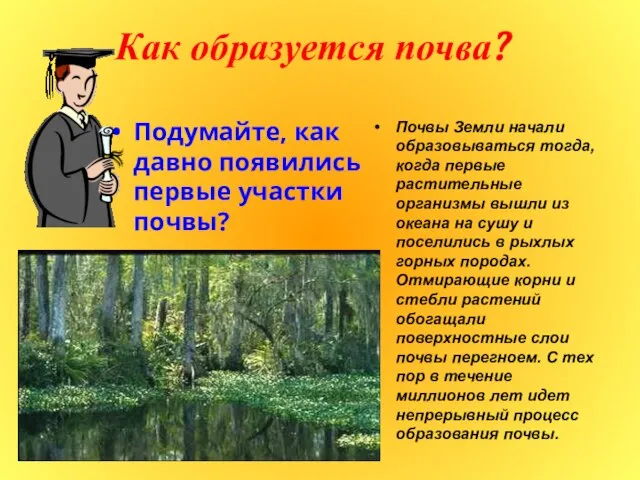 Как образуется почва? Подумайте, как давно появились первые участки почвы? Почвы Земли