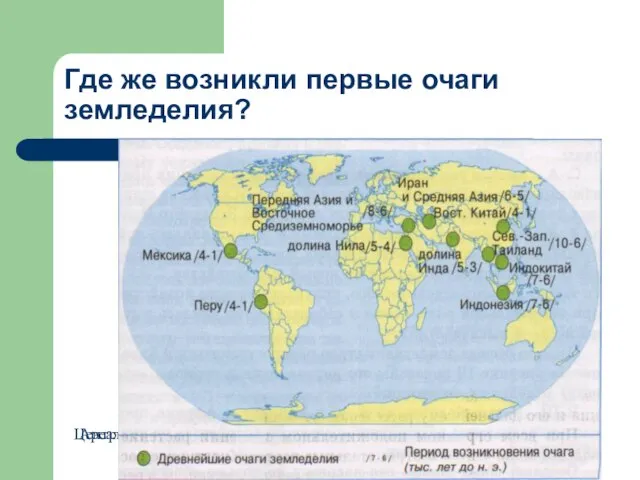 Где же возникли первые очаги земледелия? Центры возникновения культурных растений Ареалы происхождения