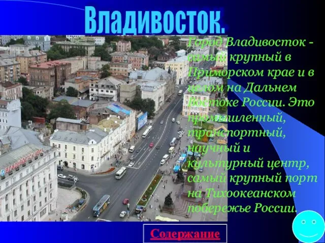 Владивосток. Город Владивосток - самый крупный в Приморском крае и в целом
