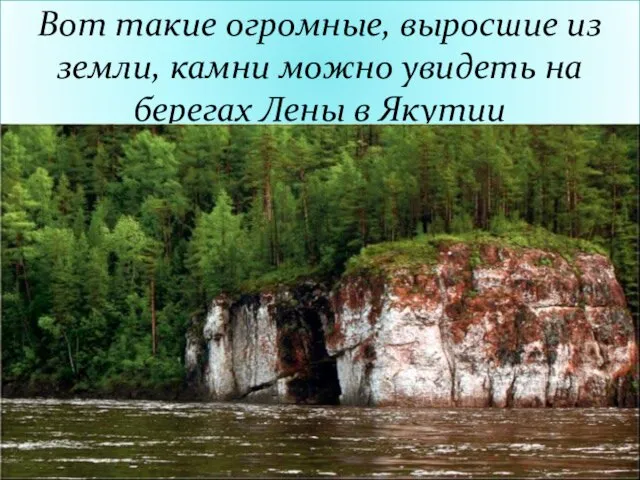 Вот такие огромные, выросшие из земли, камни можно увидеть на берегах Лены в Якутии