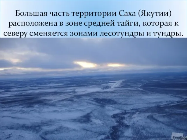 Большая часть территории Саха (Якутии) расположена в зоне средней тайги, которая к