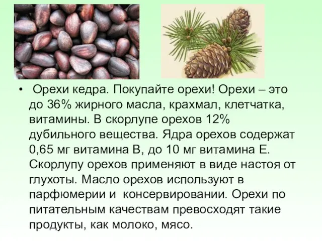 Орехи кедра. Покупайте орехи! Орехи – это до 36% жирного масла, крахмал,