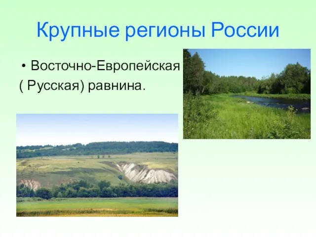 Крупные регионы России Восточно-Европейская ( Русская) равнина.