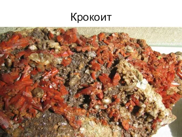 Крокоит