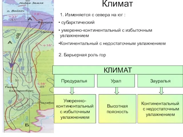 Климат Предуралья Урал Зауралья Умеренно- континентальный с избыточным увлажнением Высотная поясность Континентальный