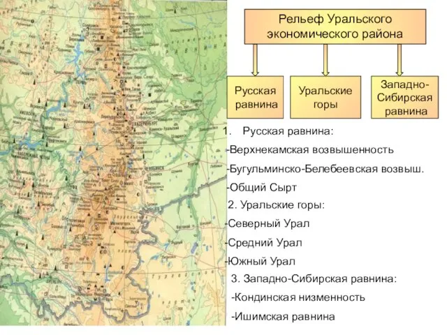 Рельеф Уральского экономического района Русская равнина Западно- Сибирская равнина Уральские горы Русская