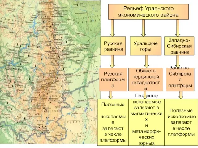 Рельеф Уральского экономического района Русская равнина Западно- Сибирская равнина Уральские горы Русская