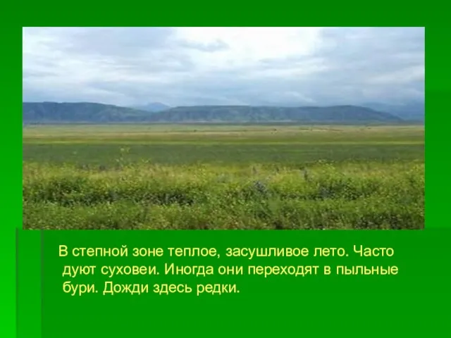 В степной зоне теплое, засушливое лето. Часто дуют суховеи. Иногда они переходят