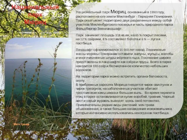 Национальный парк Мюриц, основанный в 1990 году, расположен на юге земли Мекленбург