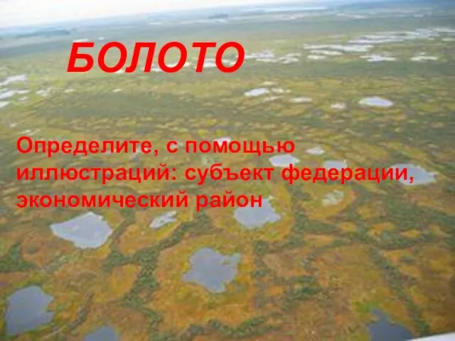 БОЛОТО Определите, с помощью иллюстраций: субъект федерации, экономический район