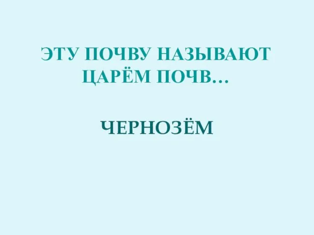 Эту почву называют царём почв… ЧЕРНОЗЁМ