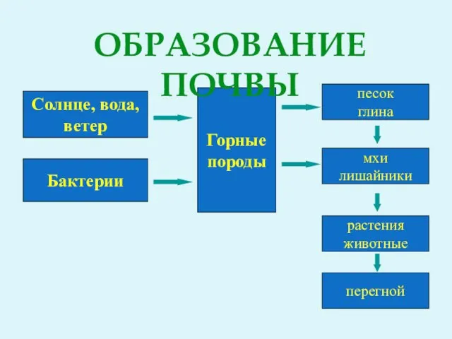 Солнце, вода, ветер Бактерии Горные породы песок глина мхи лишайники растения животные перегной Образование почвы