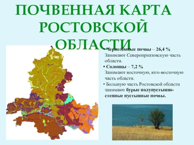 Почвенная карта ростовской области Чернозёмные почвы – 26,4 % Занимают Североприазовскую часть