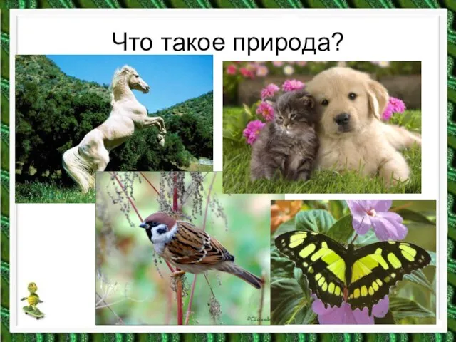 Что такое природа?