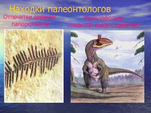 Находки палеонтологов Криолофозавр «ледяной ящер с гребнем» Отпечатки древних папоротников