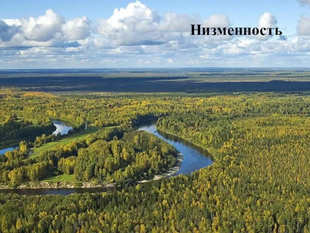 Низменность