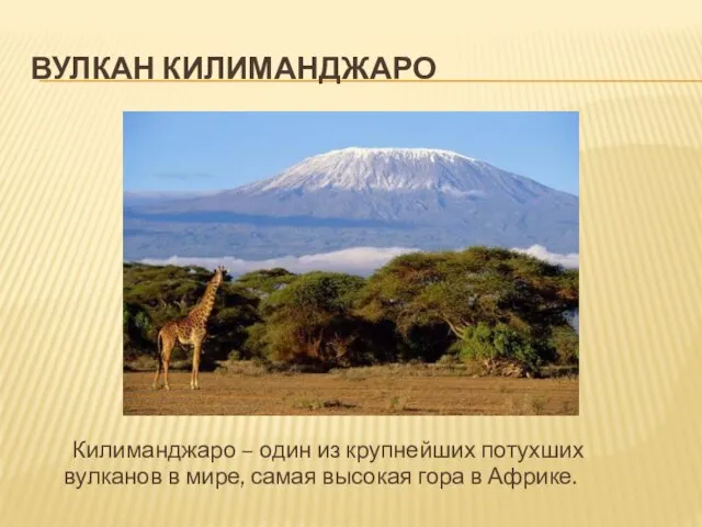 Вулкан килиманджаро Килиманджаро – один из крупнейших потухших вулканов в мире, самая высокая гора в Африке.
