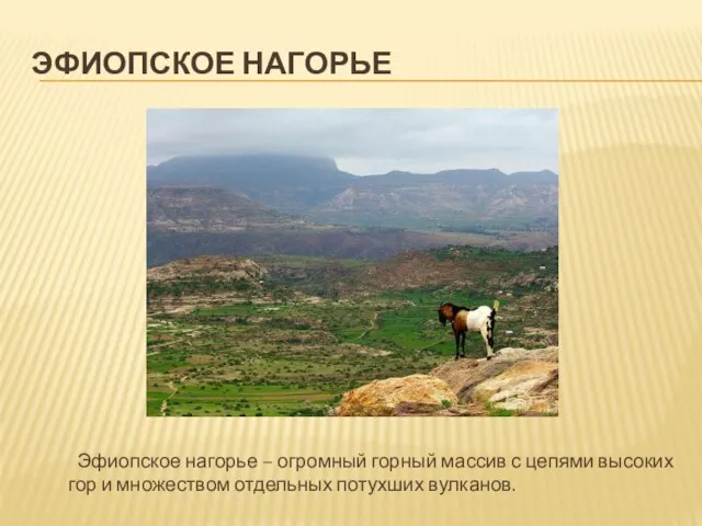 Эфиопское нагорье Эфиопское нагорье – огромный горный массив с цепями высоких гор