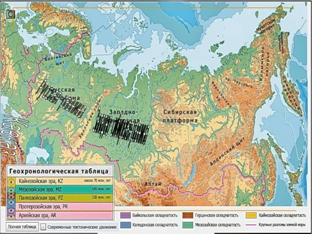 Русская равнина Западно- сибирская равнина Кавказ