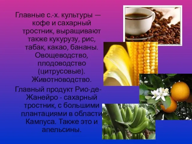 Главные с.-х. культуры — кофе и сахарный тростник, выращивают также кукурузу, рис,