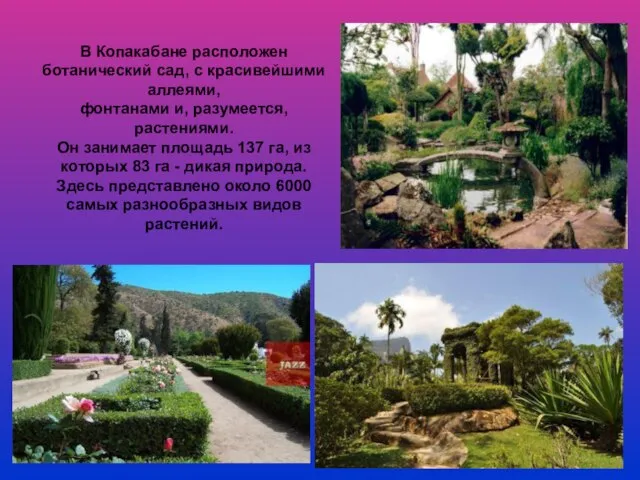 В Копакабане расположен ботанический сад, с красивейшими аллеями, фонтанами и, разумеется, растениями.