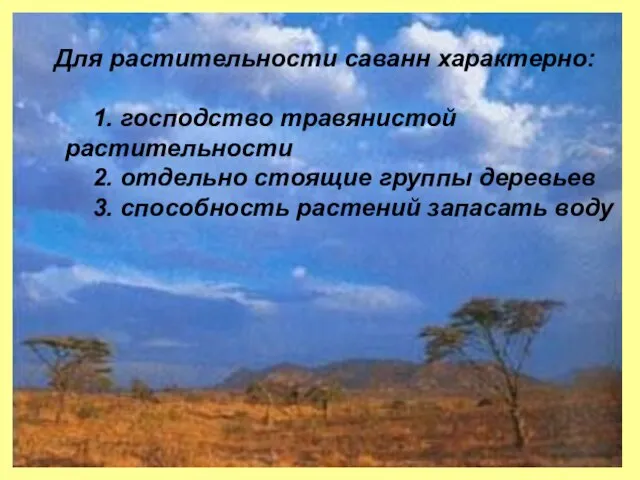 Для растительности саванн характерно: 1. господство травянистой растительности 2. отдельно стоящие группы