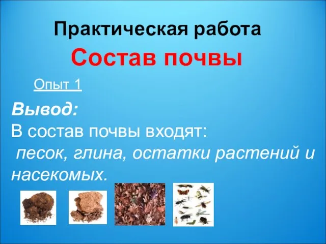 Практическая работа Состав почвы Опыт 1 Вывод: В состав почвы входят: песок,