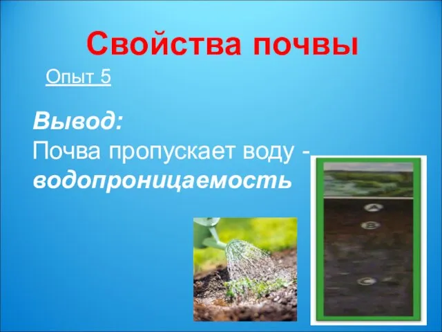 Свойства почвы Опыт 5 Вывод: Почва пропускает воду - водопроницаемость