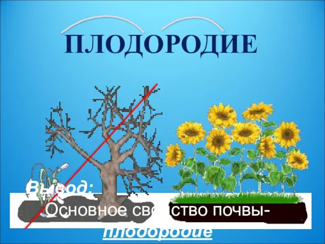 ПЛОДОРОДИЕ Вывод: Основное свойство почвы- плодородие