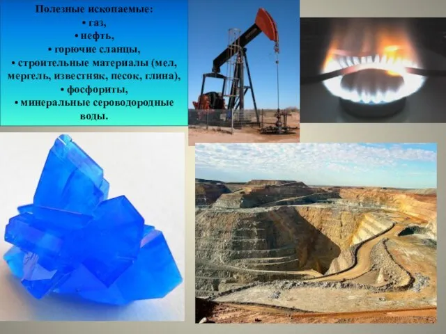 Полезные ископаемые: • газ, • нефть, • горючие сланцы, • строительные материалы