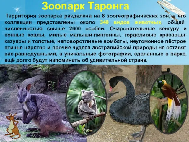Зоопарк Таронга Территория зоопарка разделена на 8 зоогеографических зон, в его коллекции