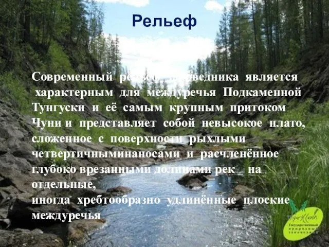 Рельеф Современный рельеф заповедника является характерным для междуречья Подкаменной Тунгуски и её